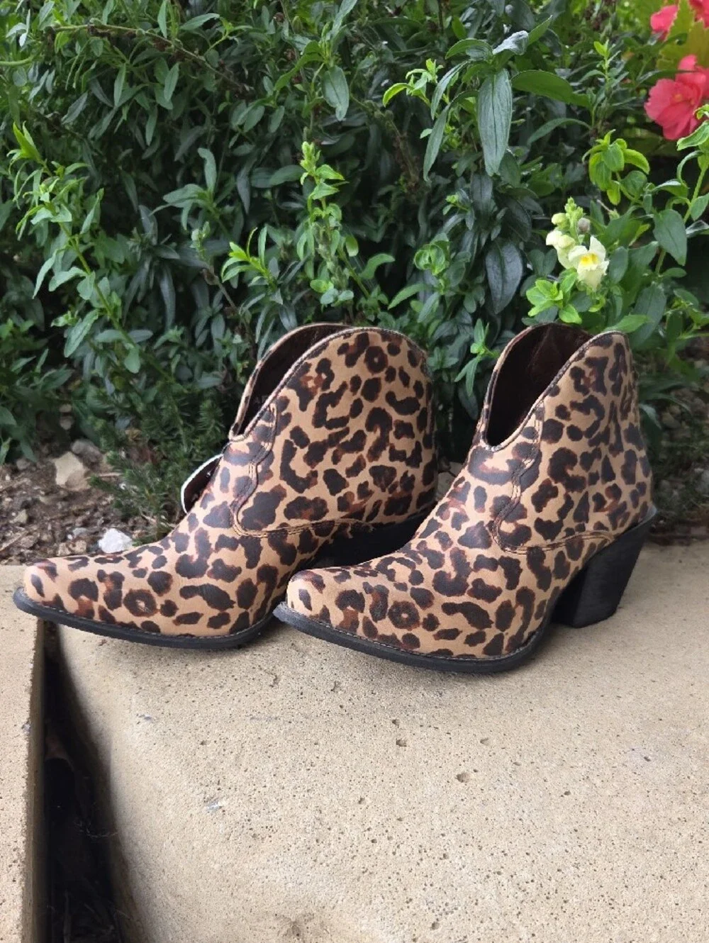 Ariat Laylas Leopard-Print Western Ankle Boots Size 6.5
